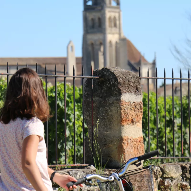 Saint-Emilion Tourisme