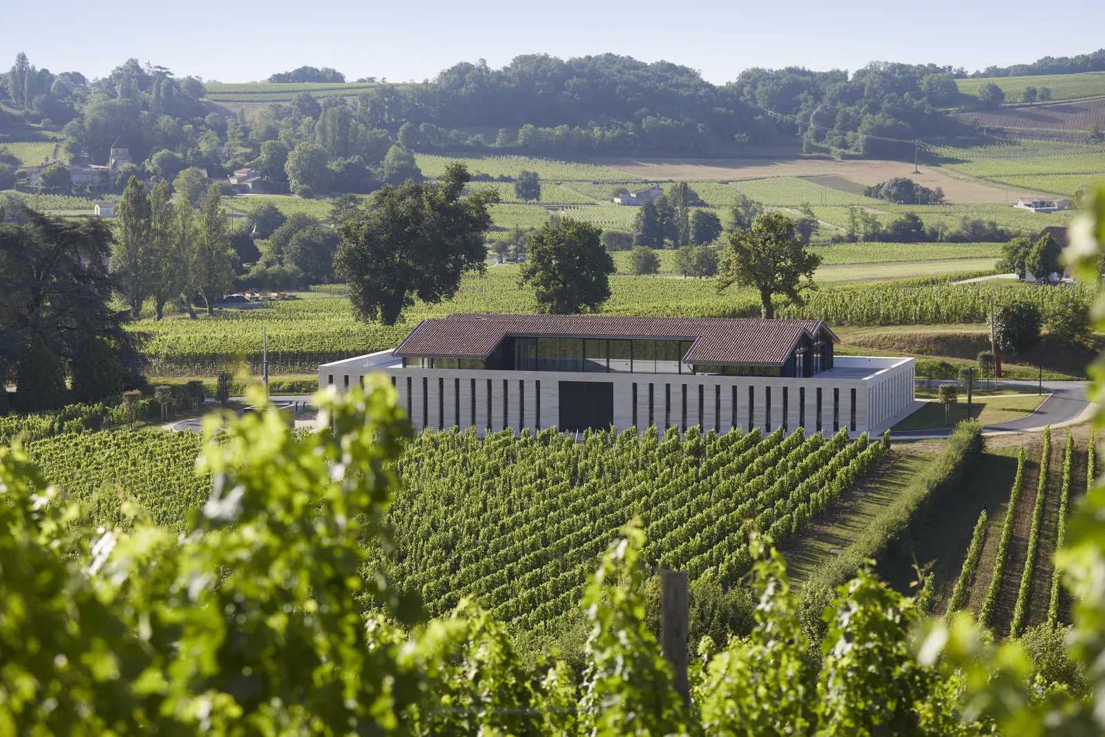 Modern winery building with white striped facade and terracotta roof nestled in rolling vineyard landscape near Bordeaux, with green vines in foreground and forested hills in background