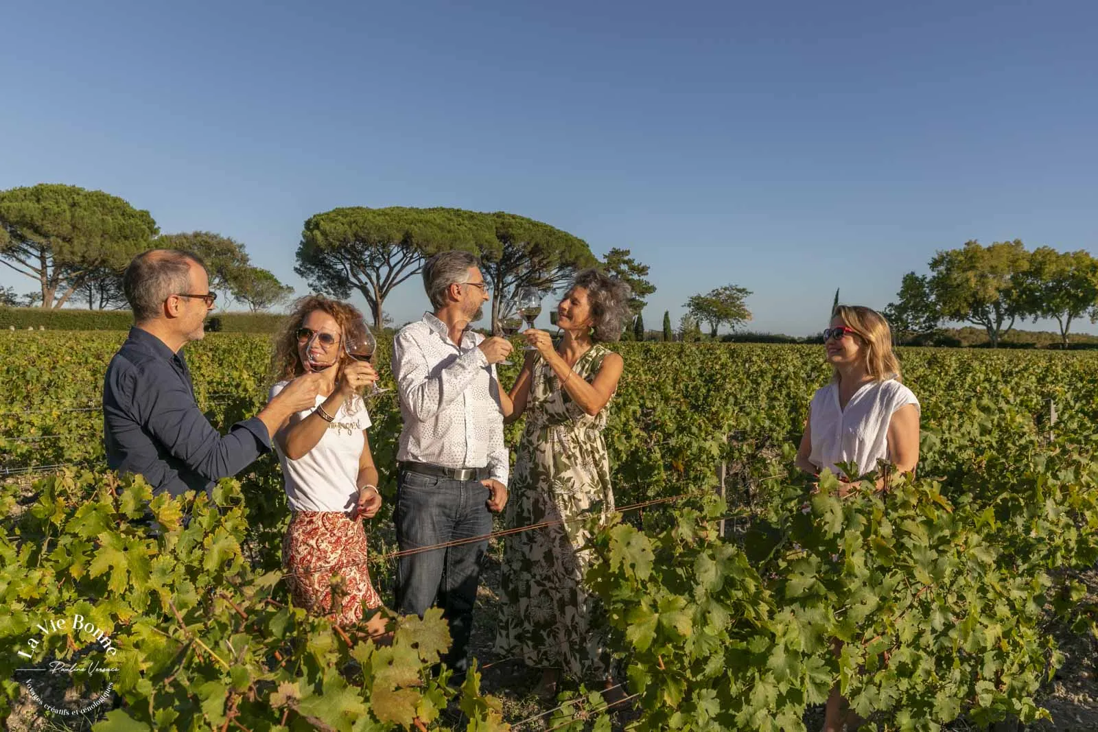 Five people standing in a vineyard during a wine tour, with lush green grapevines in the foreground and Mediterranean pine trees in the background under a clear blue sky.