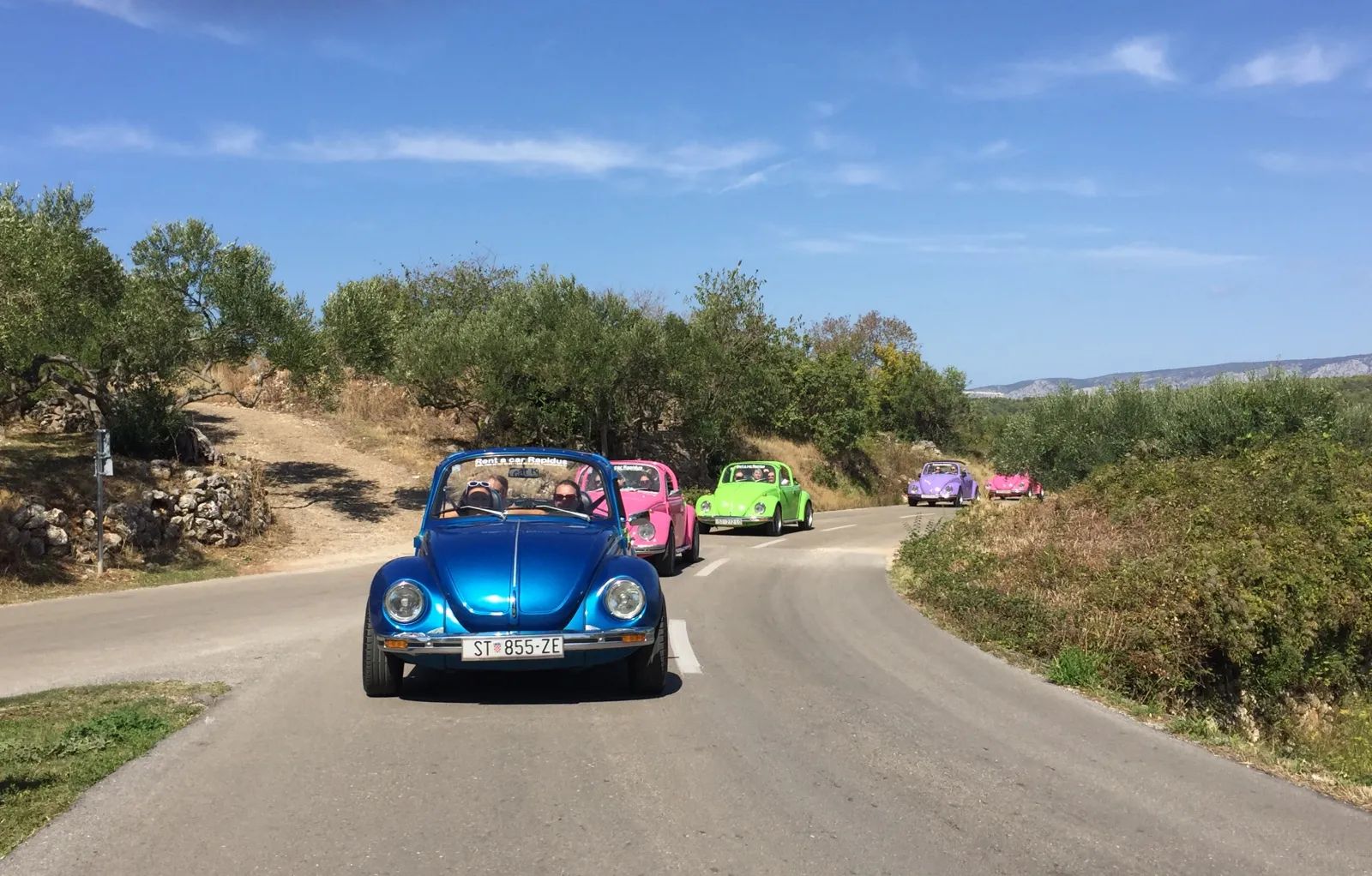 A convoy of colorful Volkswagen Beetle convertibles driving on a rural road through an olive grove landscape near Bordeaux, with a blue Beetle in the lead followed by pink, green, and purple vehicles.