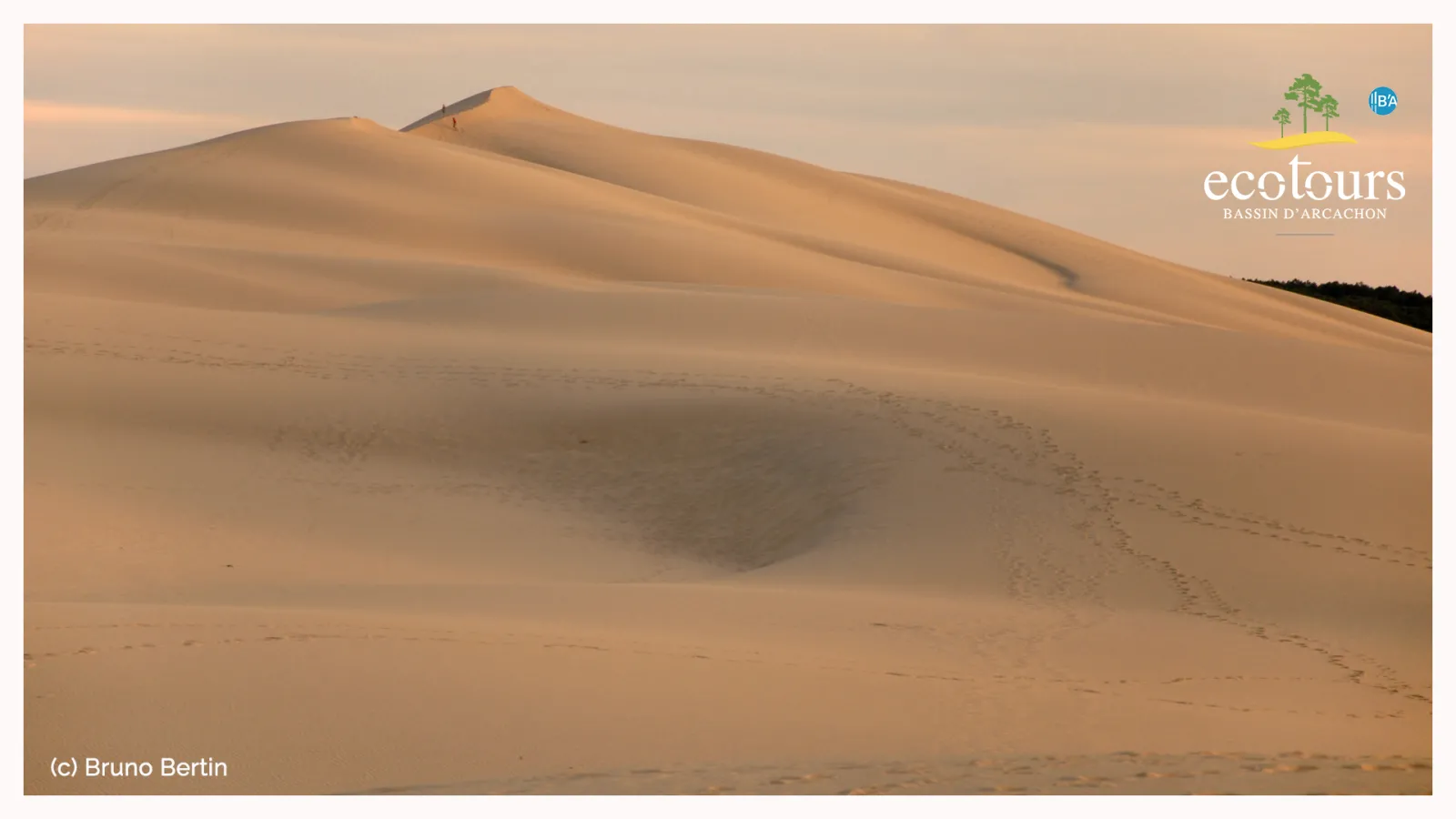 Large sand dune in the Arcachon Basin with footprints visible on the sandy surface, surrounded by a misty atmosphere and forested area in the background