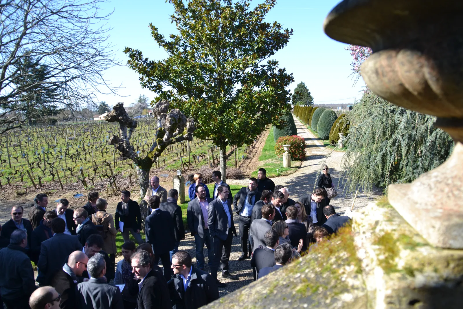 A group of formally dressed visitors gathered on a tree-lined path in a Bordeaux vineyard, with grapevines visible in the background and manicured hedges framing the walkway.