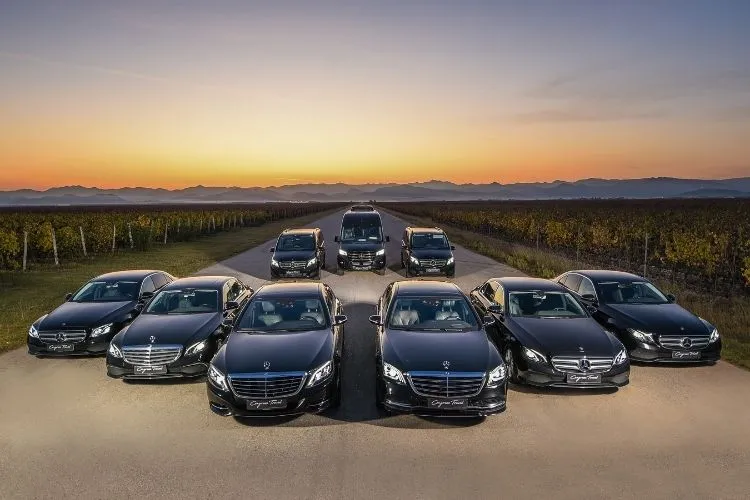 Fleet of black Mercedes-Benz luxury vehicles displayed in a vineyard landscape at sunset, with rows of grapevines and mountains in the background