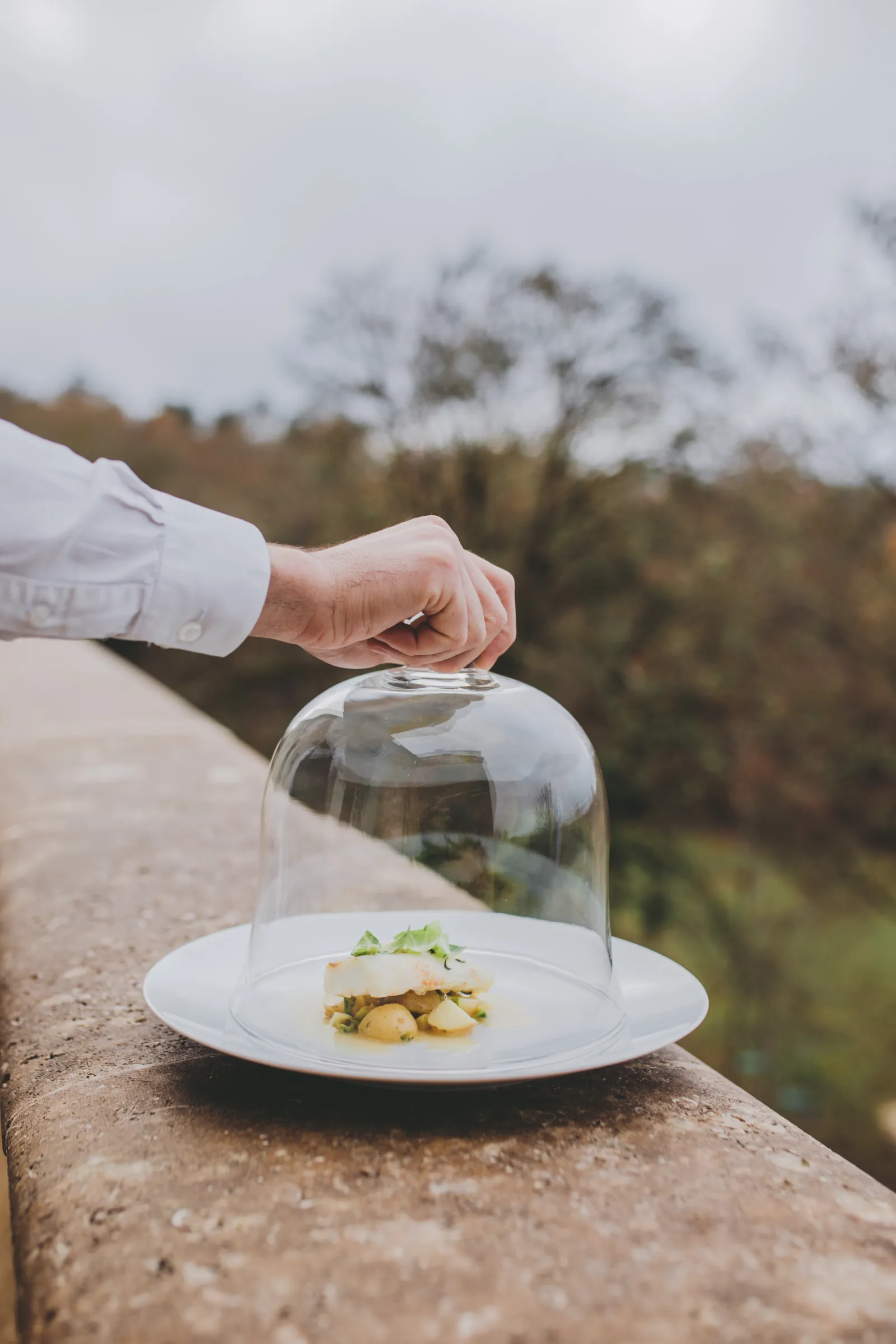 A chef's hand lifting a glass dome to reveal a gourmet plated dish with vegetables and garnish on a white plate, overlooking a snowy mountain landscape