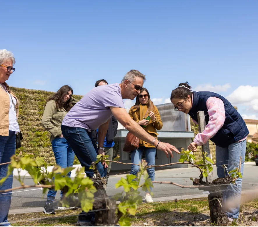 A group of adults planting seedlings together in a rooftop garden with a green wall and city buildings visible in the background on a sunny day.
