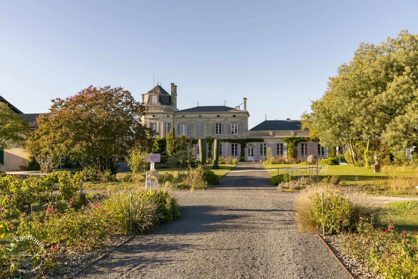 Grand 19th-century mansion with mansard roof and black turrets, approached by a gravel driveway lined with flowering gardens and mature trees, set in the Bordeaux wine region.