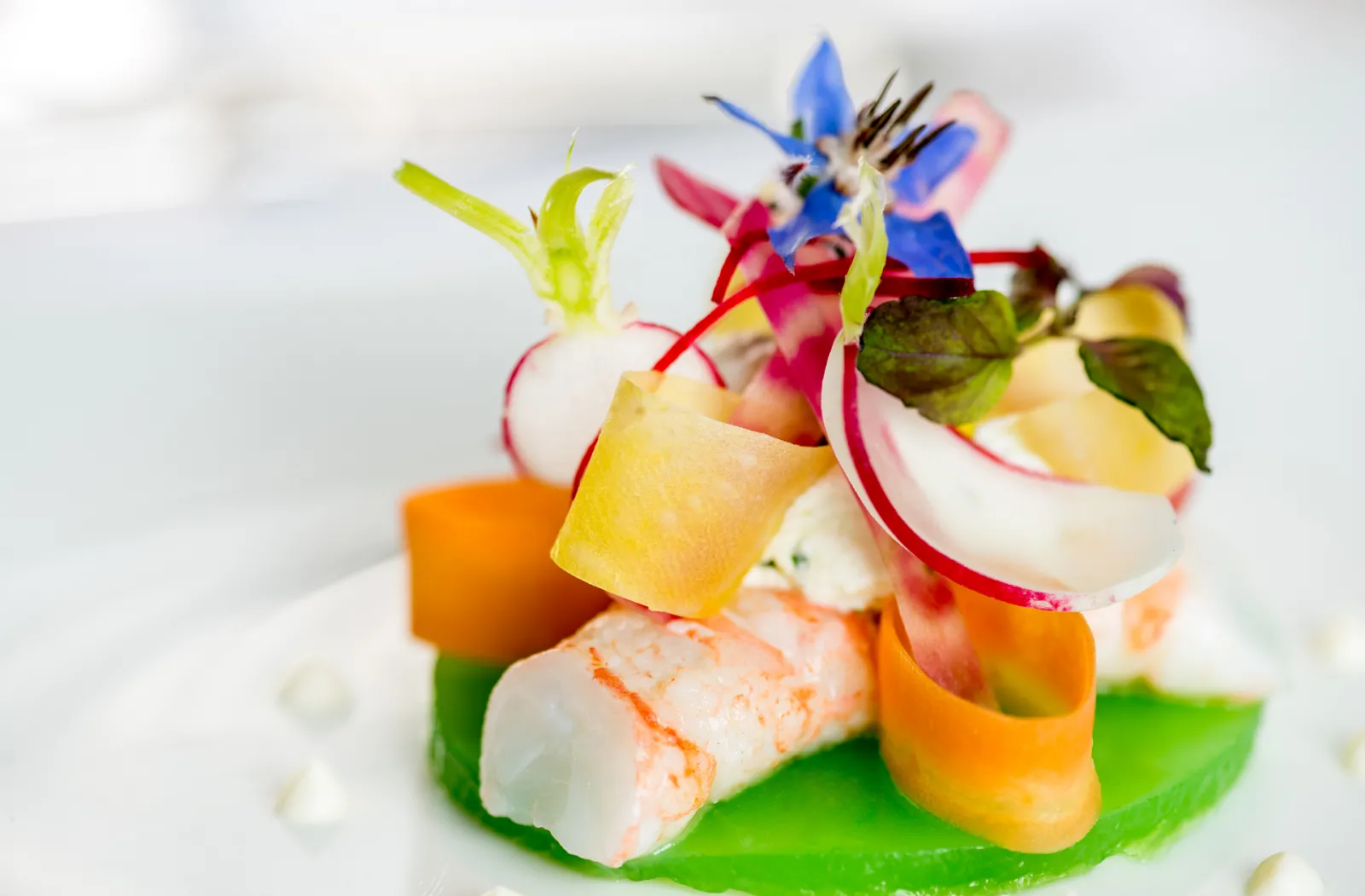 Elegant fine dining seafood appetizer plated on green leaf base with salmon, white fish, citrus garnish, radish ribbon, edible flowers and decorative elements