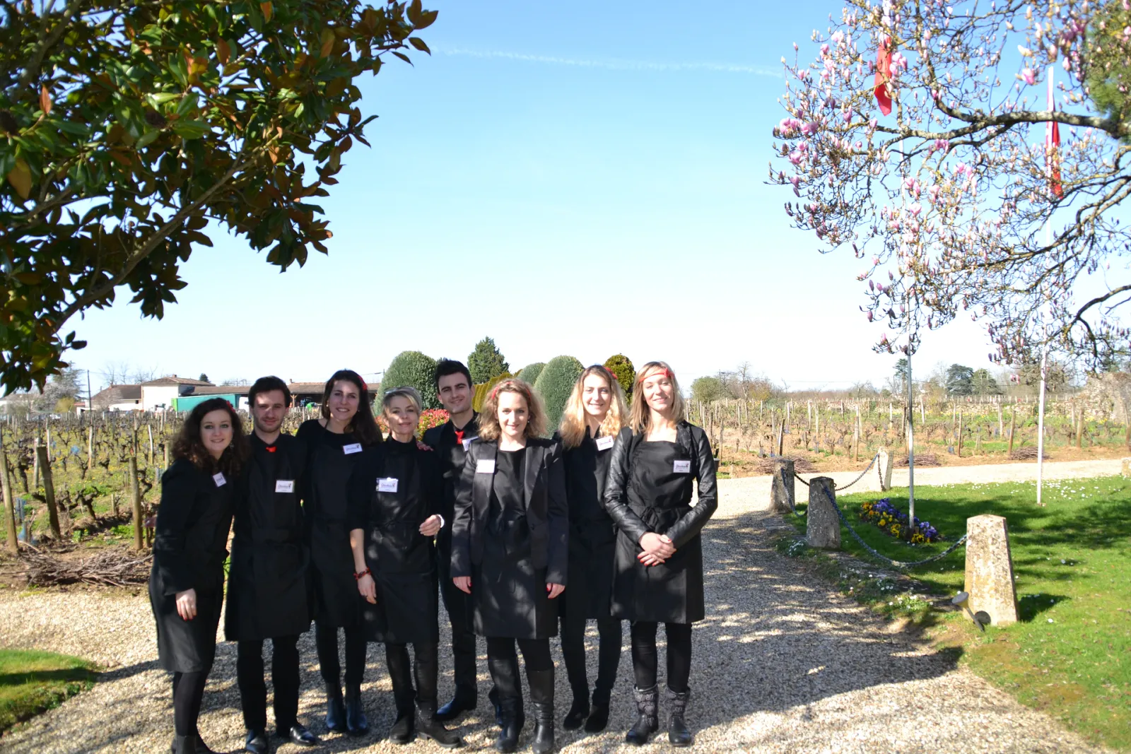 Group of nine young professionals in black business attire standing on a gravel path in a Bordeaux vineyard, with blooming wisteria and vineyard rows visible in the background.