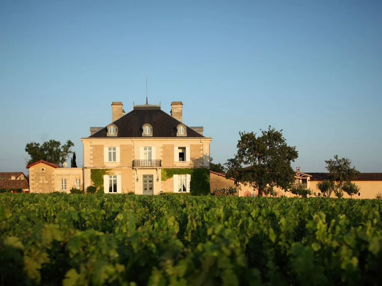 Château Haut-Bailly, a classical French mansion with mansard roof and cream-colored stone facade, surrounded by vineyard rows in Bordeaux wine region