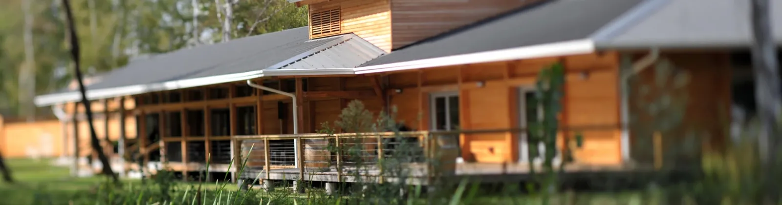 Modern wooden house with gray metal roof and cable railing on a covered porch, surrounded by green lawn and trees at Yelloh! Village Bordeaux Lac