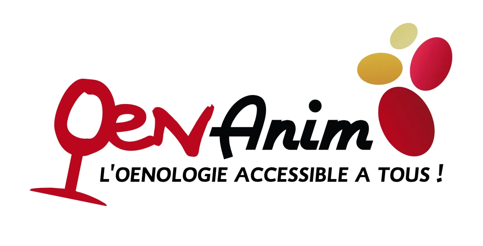 Oenanim logo with tagline 'Oenology accessible to all' featuring a red wine glass and colorful grapes, Bordeaux