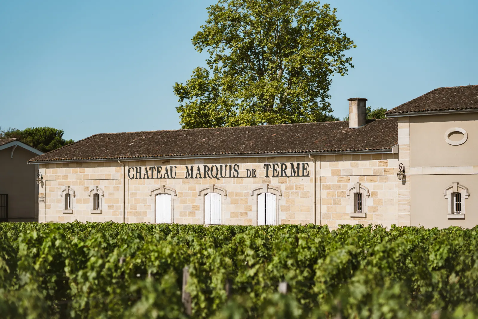 Château Marquis de Terme winery building with cream-colored stone facade and white doors, surrounded by vineyard rows in Bordeaux
