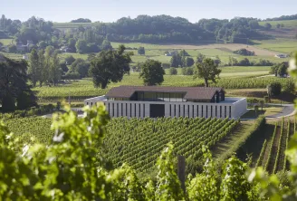 Modern winery building with white striped facade and terracotta roof nestled in rolling vineyard landscape near Bordeaux, with green vines in foreground and forested hills in background