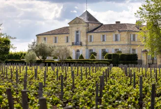 Château du Tertre in Bordeaux, a stone manor house with a mansard roof and blue shutters, surrounded by manicured hedges and a vineyard with wooden stakes in the foreground, set against a partly cloudy sky.