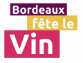 Logo BFV