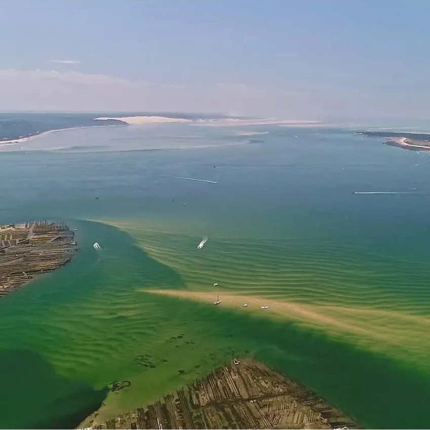 arcachon ecotours