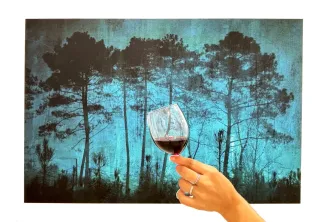 Hand holding a glass of red wine against a forest landscape with tall pine trees under a turquoise sky