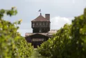 Historic stone tower of Château Smith Haut Lafitte with a flag on top, viewed through vineyard rows in Bordeaux