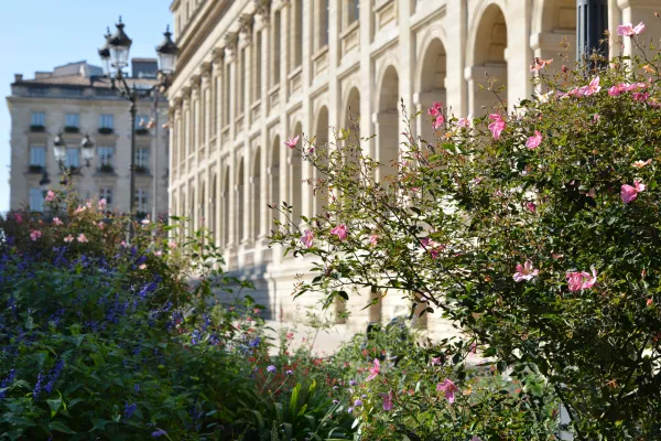 Bordeaux en automne Bordeaux en automne